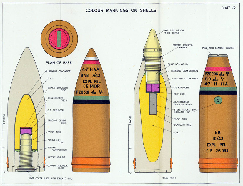 Plate 19. Colour Markings on Shells 