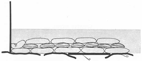 Figure 37-2. Sketch illustrating the use of bagged concrete to stop leaks in ruptured deck D. Note the use of steel plate P to support the bags, and how the bags are laid criss-cross.