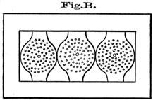 Fig B. Frame with multiple holes.