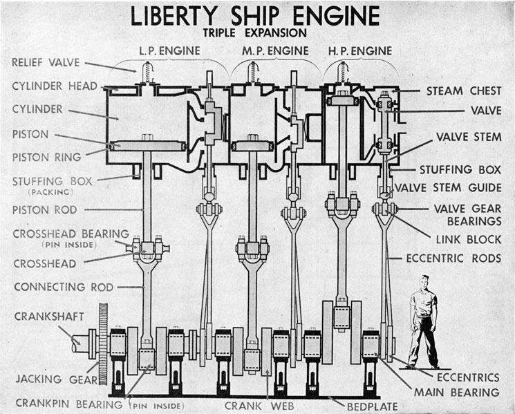 Liberty Ship Engine
Triple Expansion