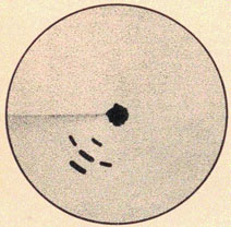 Figure 3-7. Two medium, three small targets.