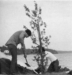 Photo of two men planting a tree.