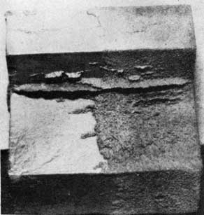 Figure 209. Metal penetration and veining. (Penetration caused by an open sand veining caused by metal penetration into cracked sand)