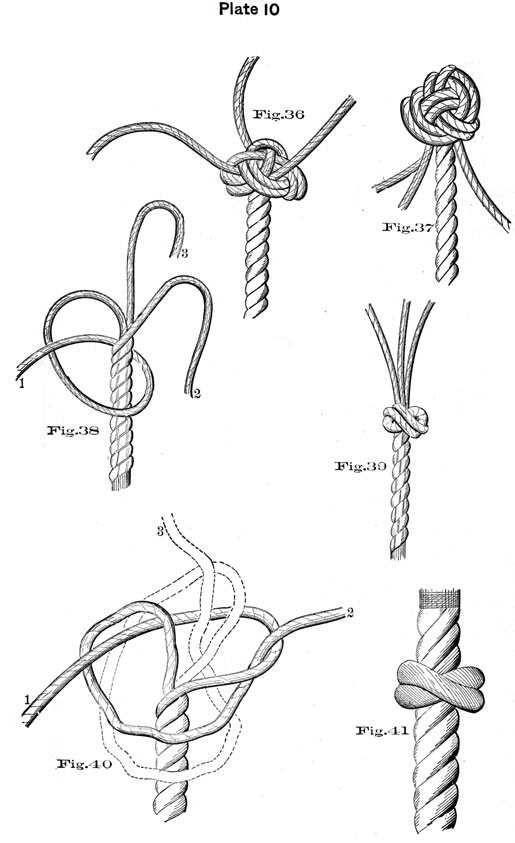 Plate 10, Fig36-41, 6 knots.