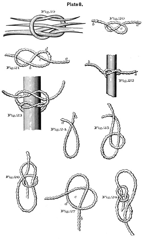 Plate 8, Illustation of 10 different knots. Fig. 19-28.