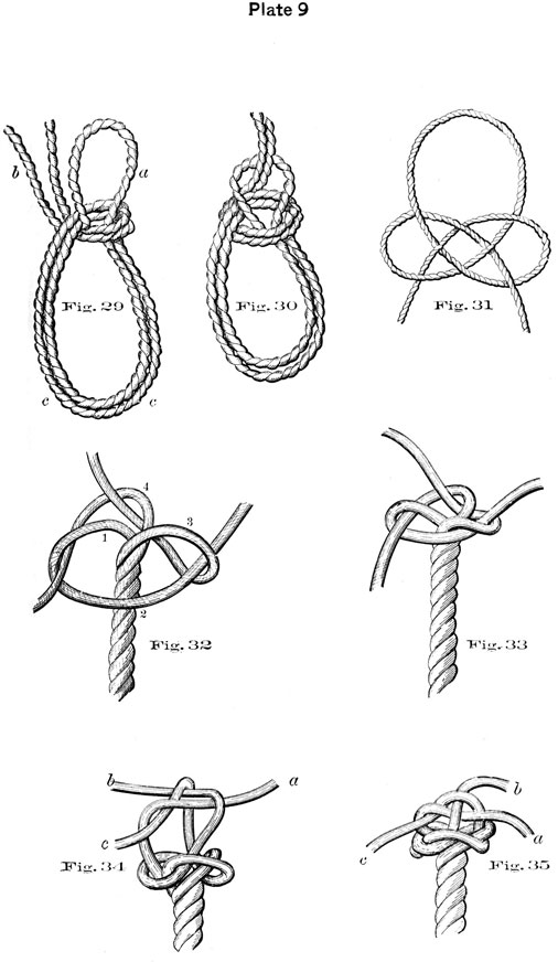 Plate 9, Fig29-35, 7 knots.