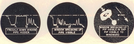 Freshly sown window pips hidden; Window breaking up pips visible; Window breaking up pip visible in gap pip visible to windward.