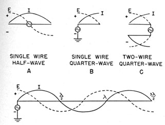 Current and voltage relationships in antennas of various lengths.