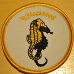 Photo of Sea Shadow twin sea horse patch.